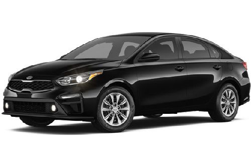 Aurora Black Pearl Aurora Black Pearl