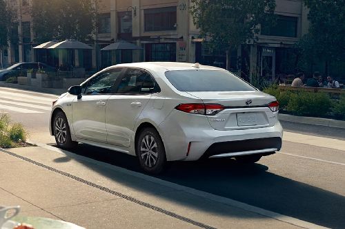 Rear Cross Side View of Toyota Corolla Hybrid