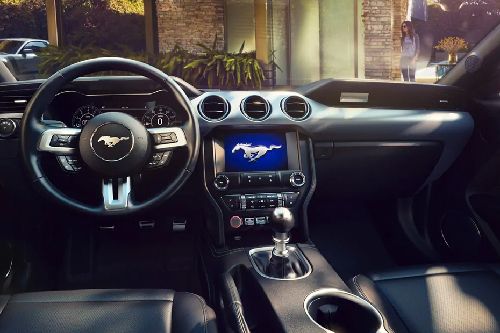 Dashboard View of Mustang Dashboard View of Mustang